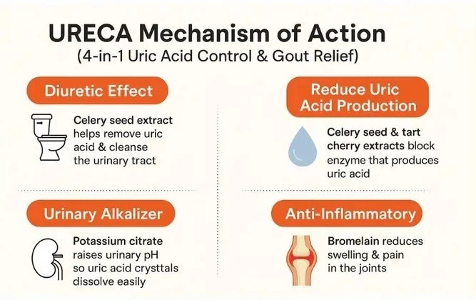 Collawell Ureca 610mg (30 Film Coated Caplets)